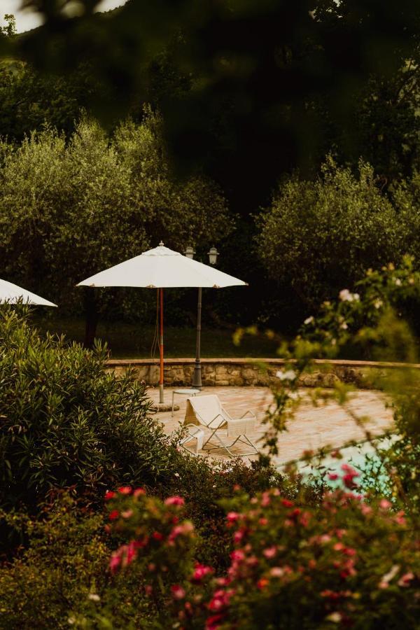 Resort Aethos Saragano Saragano